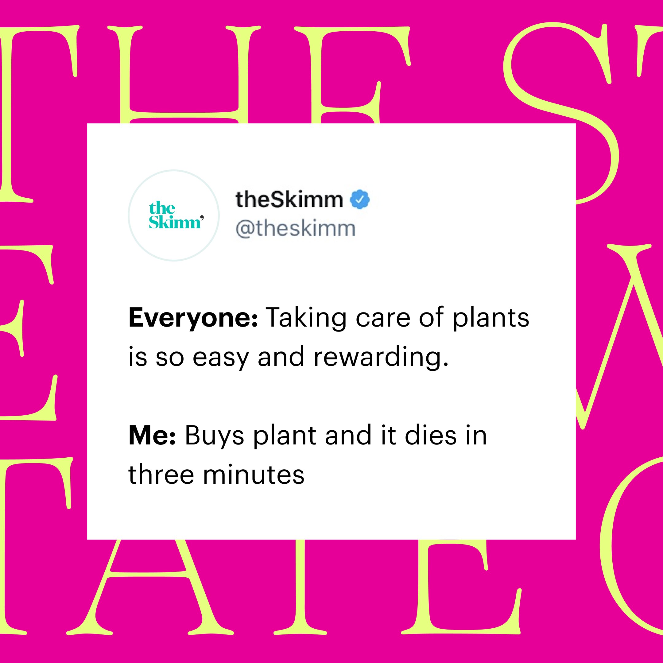 Social post: theSkimm tweet about plants